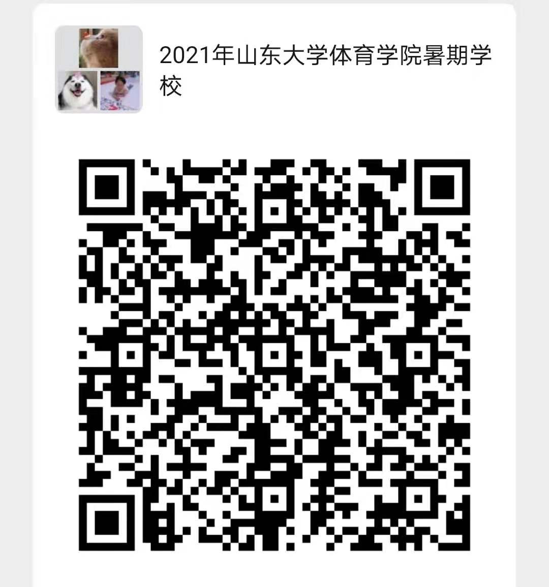 世俱杯官网,世俱杯官方平台